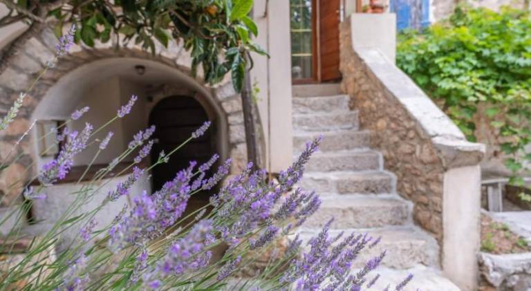 Villa | Pets are welcome in Mali Losinj
