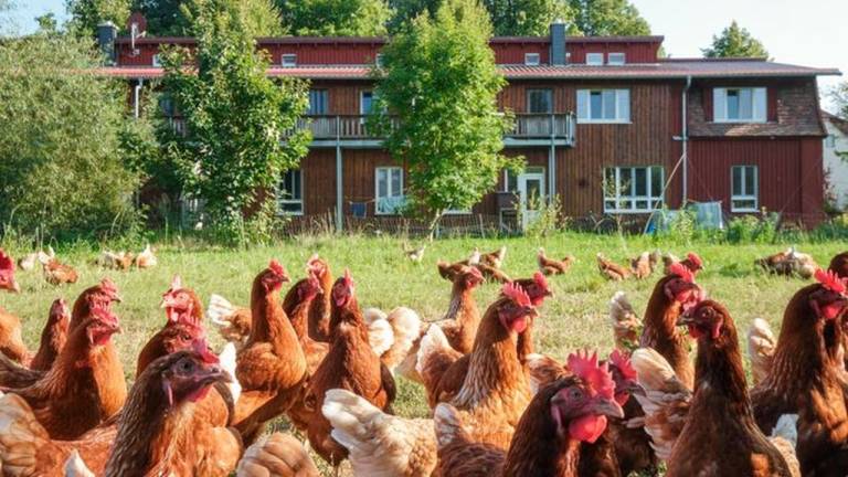 Ferienwohnung  Schwerin