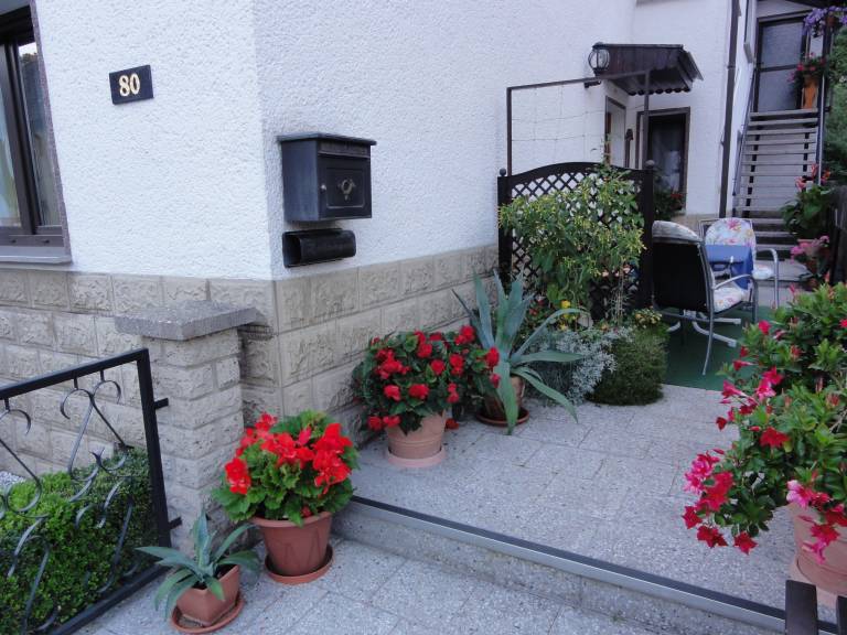 foto12