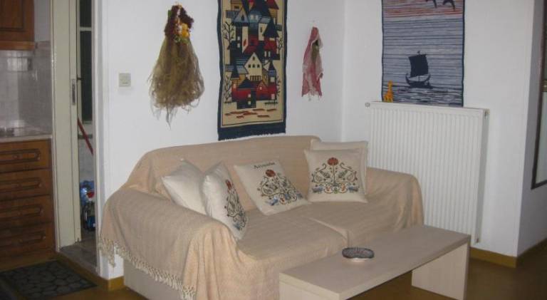 Beautiful house | Pets allowed — photo 2
