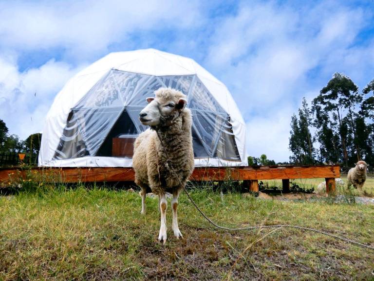 Camping Unterkunft