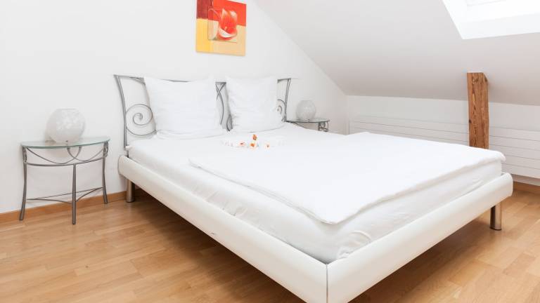 Apartment with 2 rooms for 4 persons in Zürich