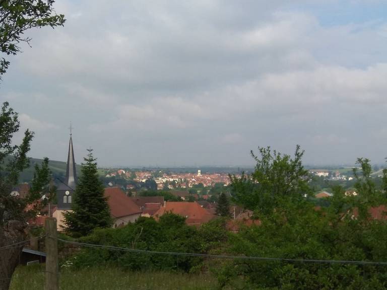 foto24