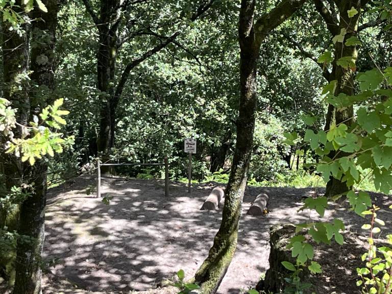 foto30