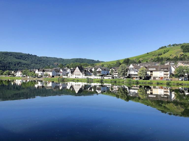 Ferienwohnung Zell (Mosel)