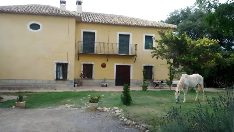 Country House 'Agroturismo Las Nieves Sur' with Mountain View, Shared Pool and Wi-Fi — photo 2