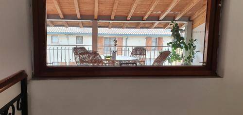 foto7
