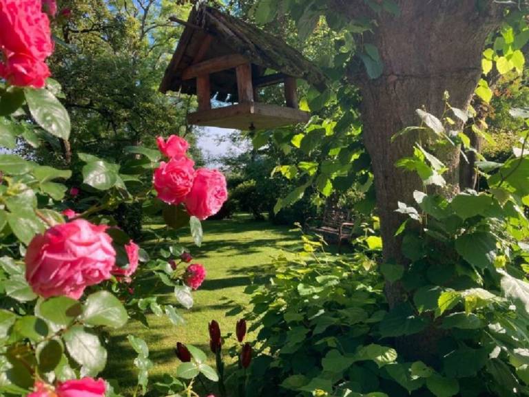 foto14