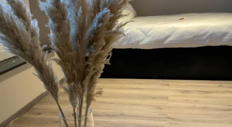 foto17