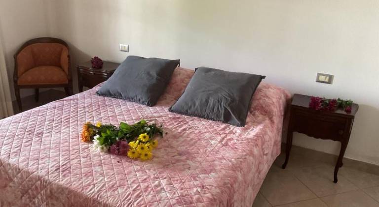 Nice rental apartment | Pets are welcome in Pisa