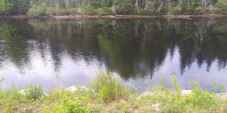 Resort Tupper Lake