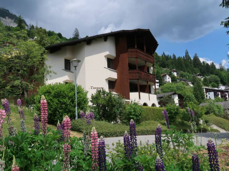 foto17