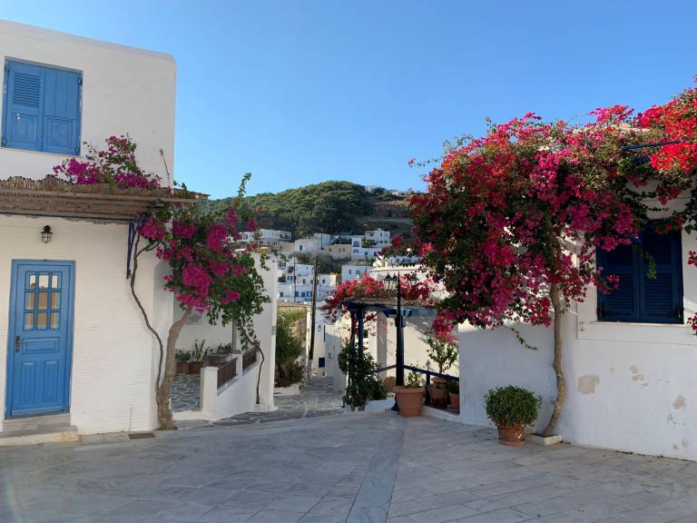 foto5