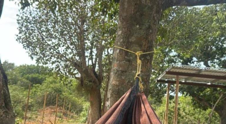 Camping - Quintal do Cinelli in Búzios