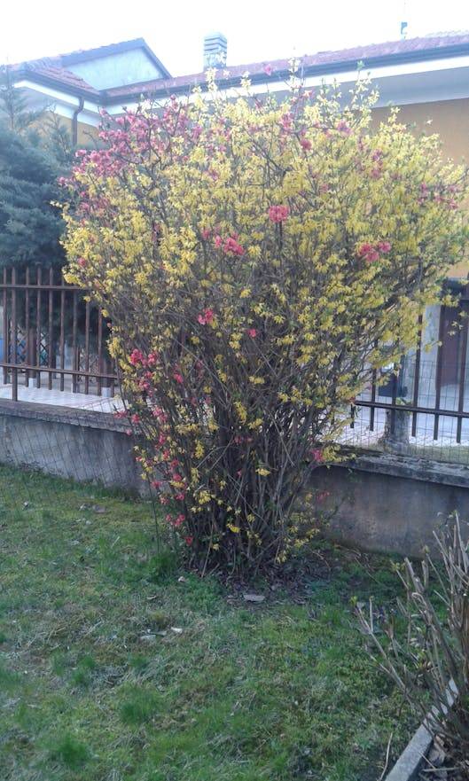 foto6