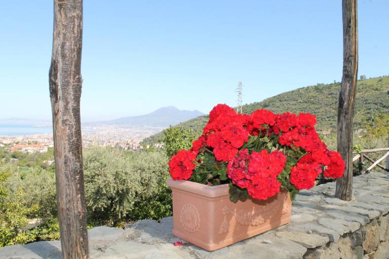 Agriturismo Casa Scola in Castellammare di Stabia