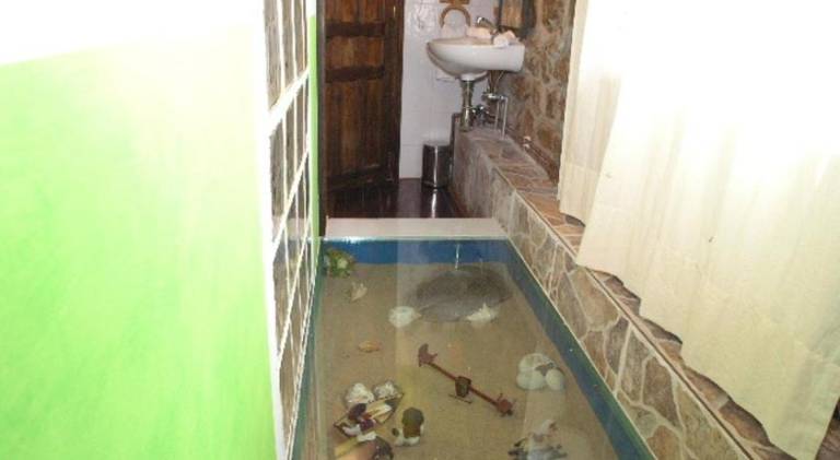 foto8