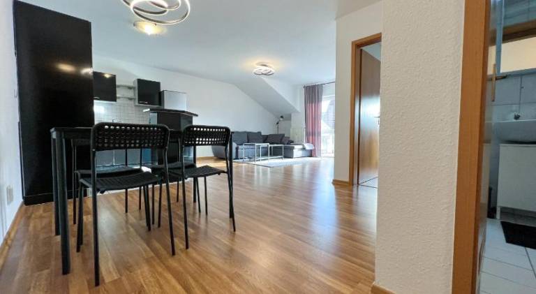 Rental apartment with 1 room for 4 persons in Leimen