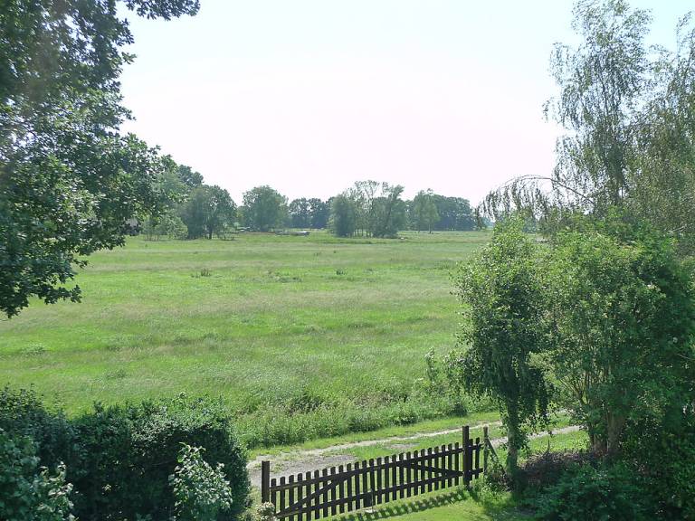 foto16