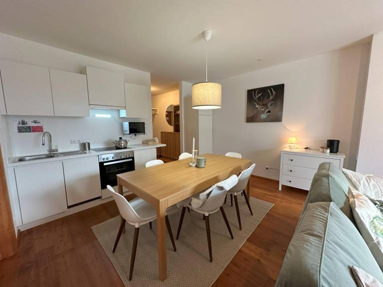 Appartement Hirsch — photo 5