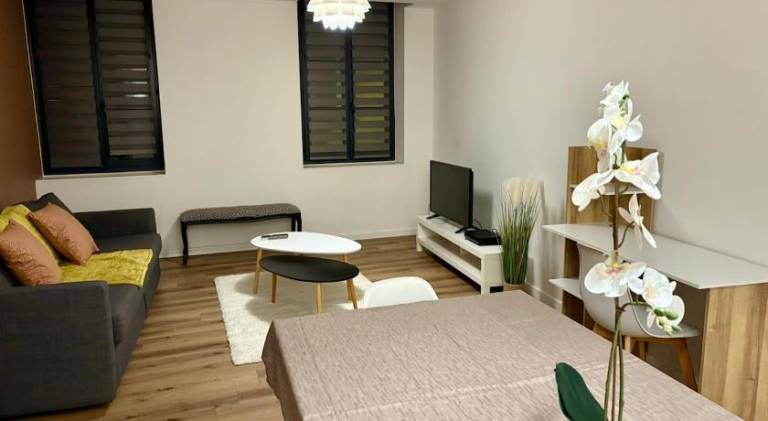 La Loge d'Ingres - T3 Center & Montauban Hospital — photo 2