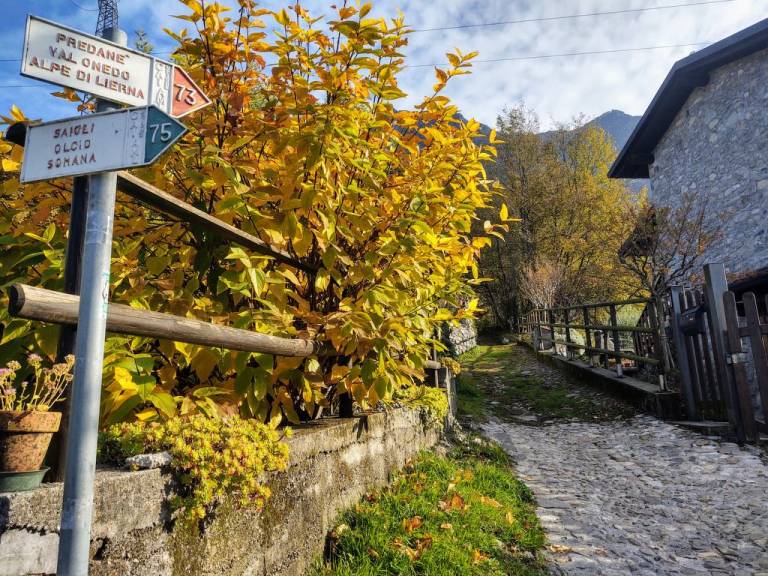 foto41