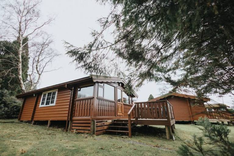 Cabin Trawsfynydd