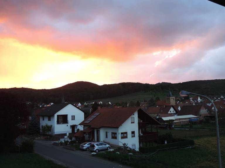 foto25