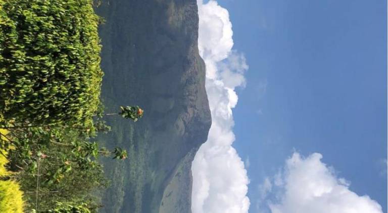 foto18