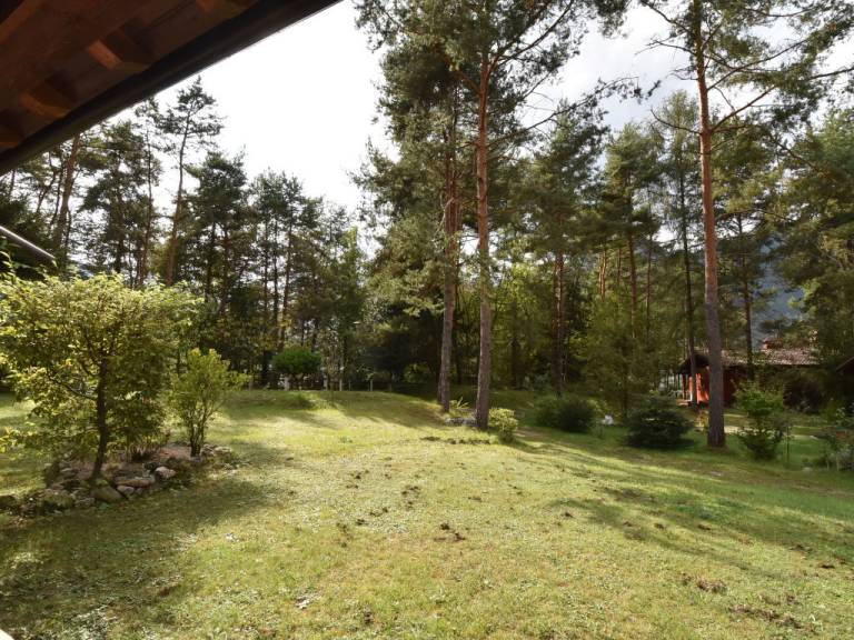 foto25