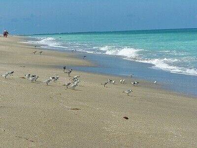 Condo  Fort Pierce