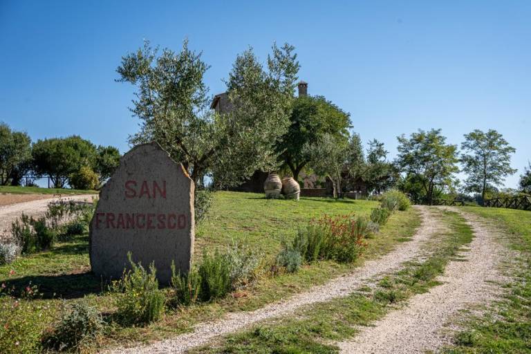San Francesco: Velthur — photo 4
