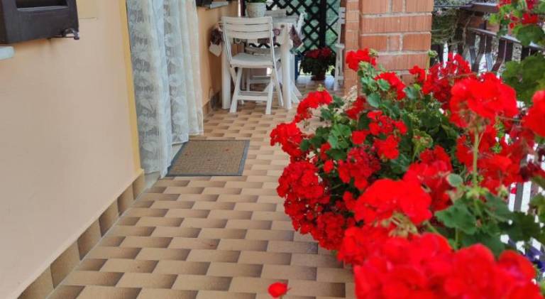 Pleasant holiday apartment | Dogs allowed — photo 4