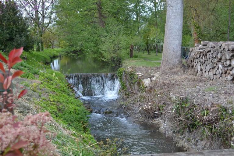foto11