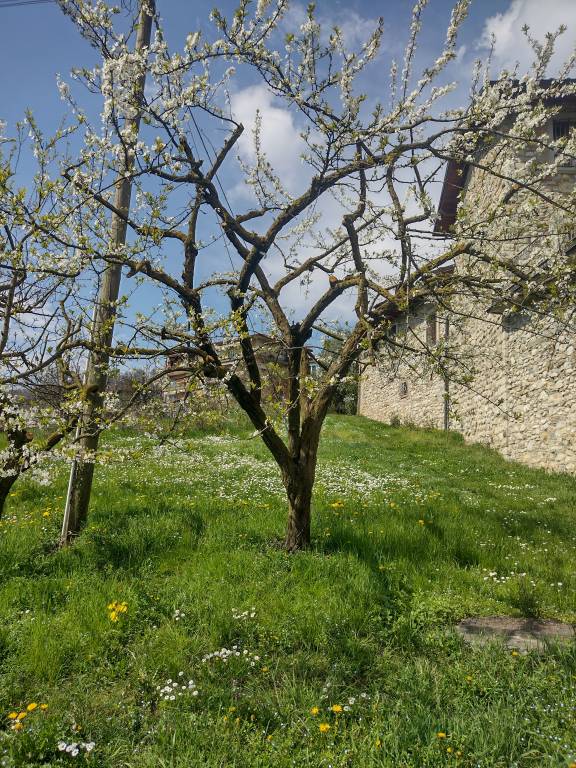 foto16