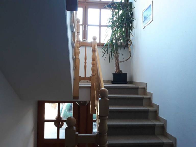 foto48