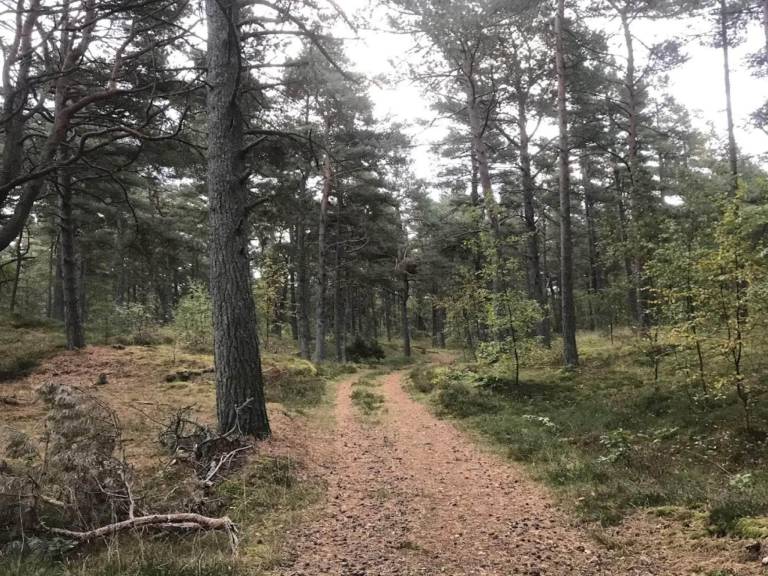 foto40