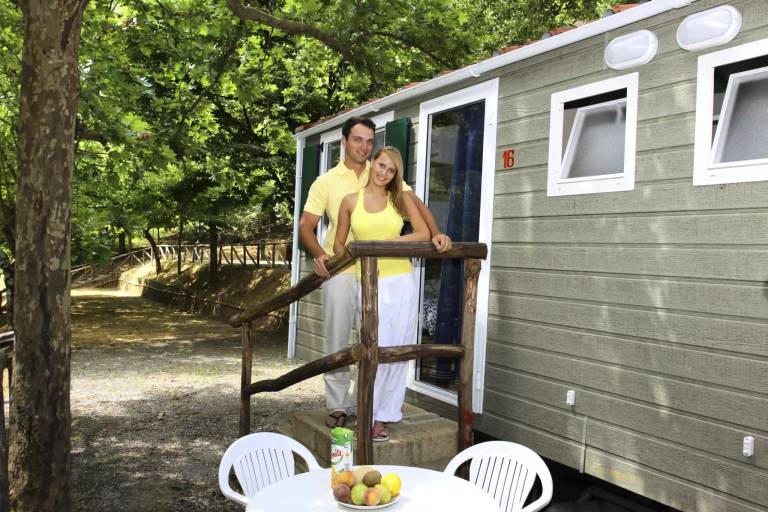Mobile home | Pets allowed — photo 4