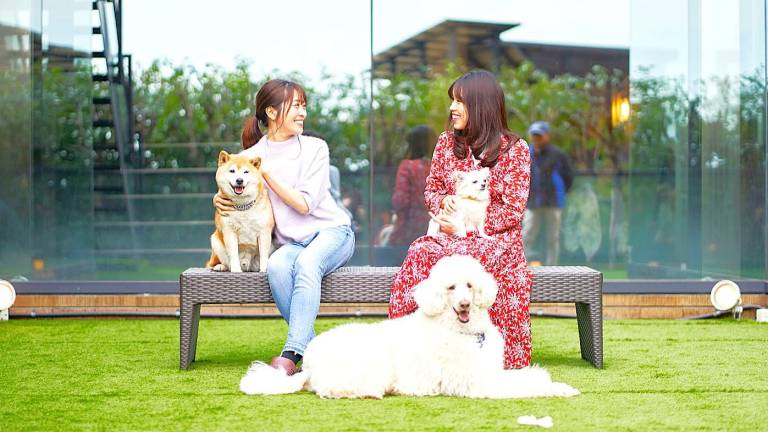 LIVEMAX Resort Izu-Kogen Terrace and Spa in Ito