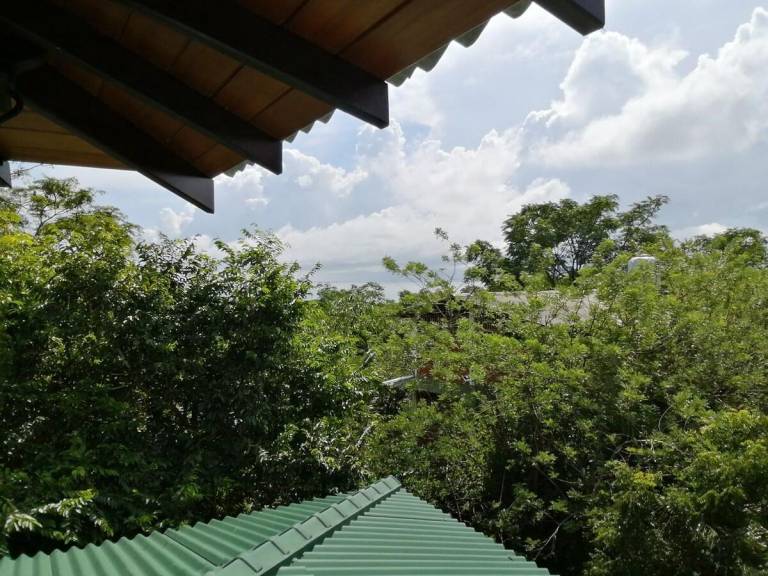 foto13