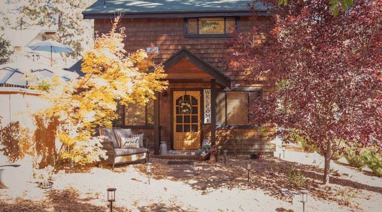 Cabin Pine Cove