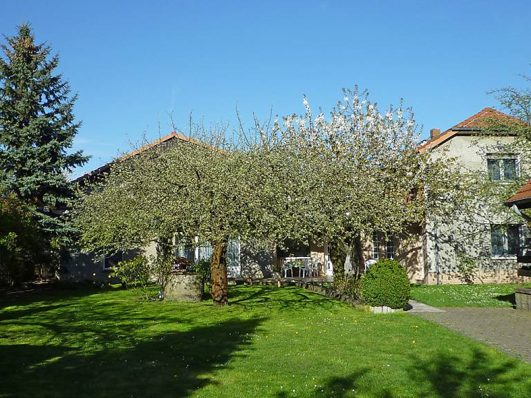 foto17