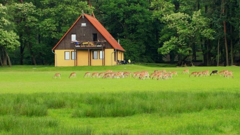 Ferienwohnung  Teupitz