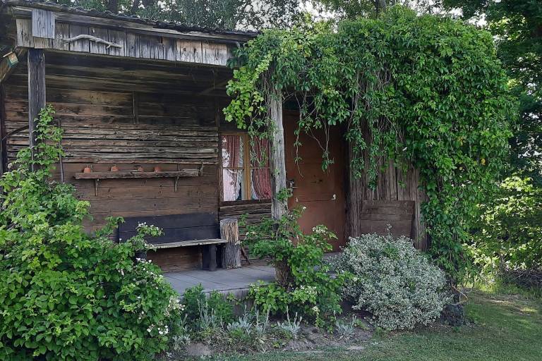 Ferienhaus Roding
