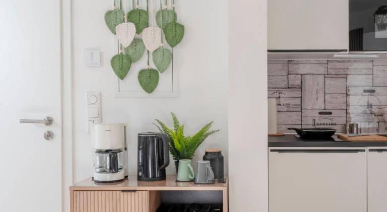 Charming rental apartment | Pets are welcome — photo 3