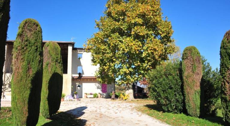 70 m&sup2; Bauernhof