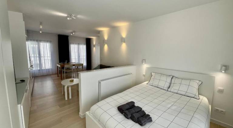 Holiday apartment | Next to Manneken Pis | Pets allowed in Brussels