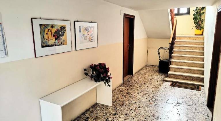 Apartment | Dogs allowed — photo 4