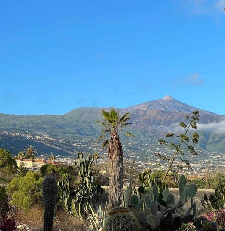 Ferienwohnung Puerto de la Cruz