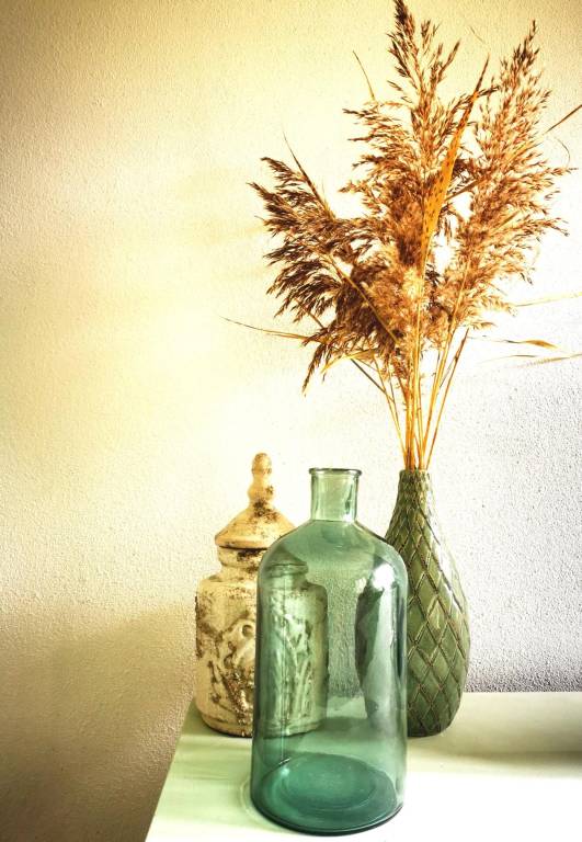 foto17